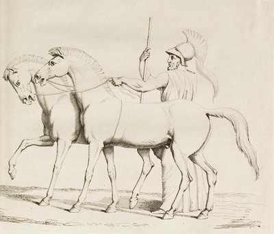 14773
<br/>
Homer nach Antiken gezeichnet. Mit Erläuterungen von Christian Gottlob Heyne.
<br/>
<em></em>